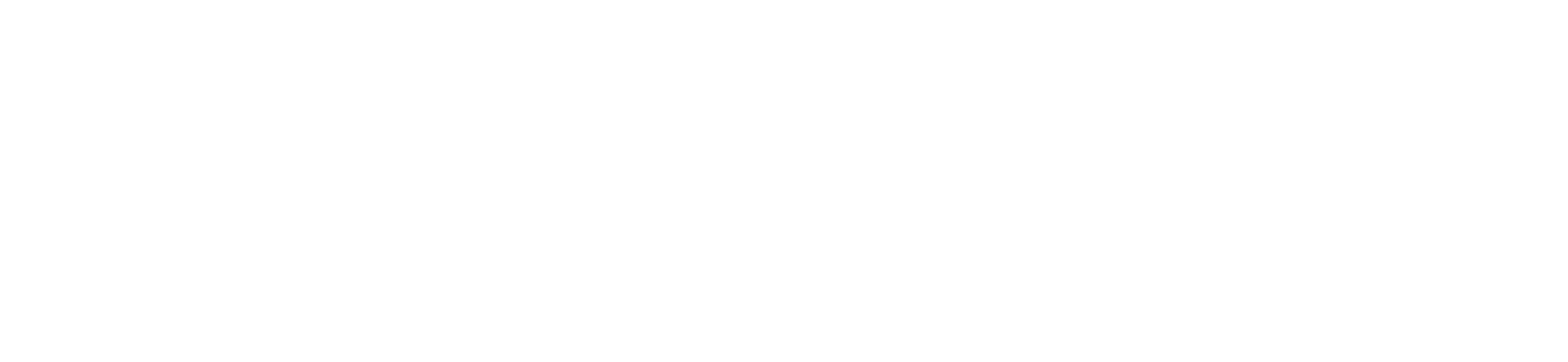 Agência Damassa